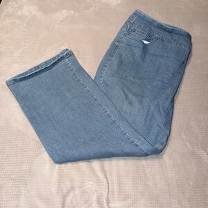 D&Co Women's Jeans Size 22P